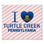 I Love Turtle Creek